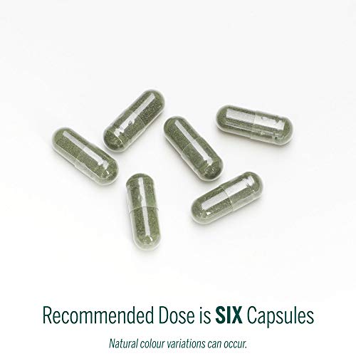 Phyto Greens Capsules - Image 8