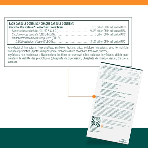 HMF Travel - Image 4