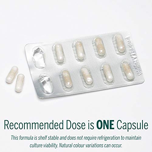 HMF Travel - Image 7