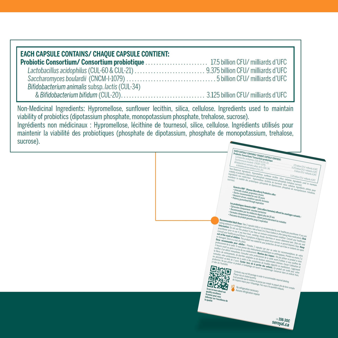 HMF Travel - Image 6