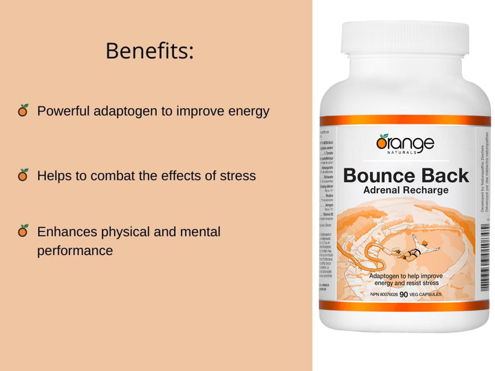 Bounce Back - Image 10