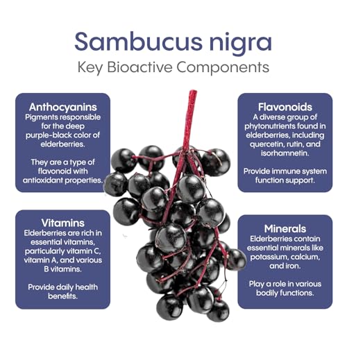 Elderberry Immune - Berry Blast - Image 8