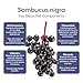 Elderberry Immune - Berry Blast - Image 9