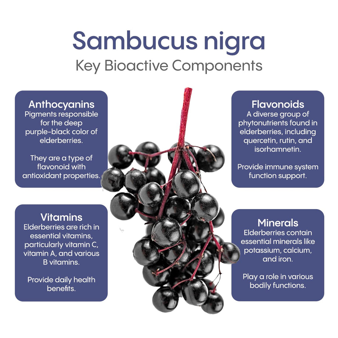Elderberry Immune - Berry Blast - Image 7