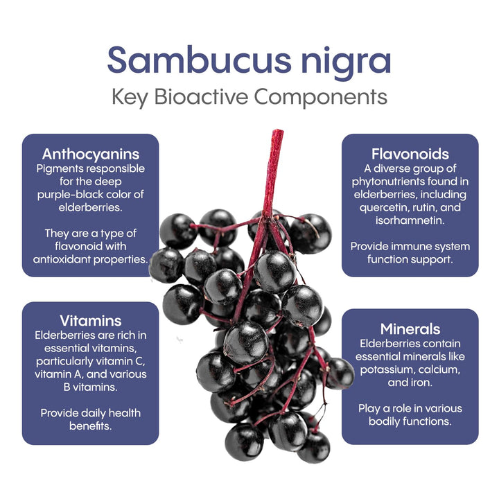 Elderberry Immune - Berry Blast - Image 7