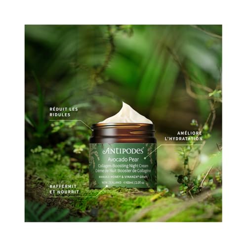 Avocado Pear Nourishing Night Cream - Image 4
