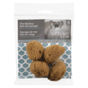 The Fabulous Face Sea Sponges - Image 2