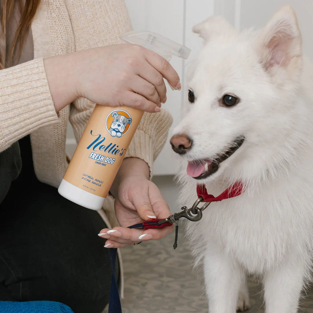 Usage directions for Nellie's Fresh Dog Waterless Shampoo, 474ml - Nellie's