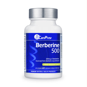 Berberine 500mg - Image 2