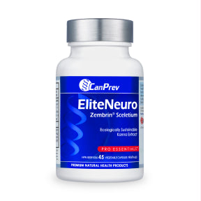 EliteNeuro - Image 4