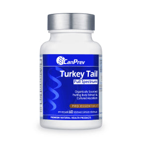 Turkey Tail Full Spectrum - Image 1