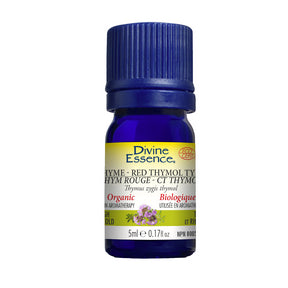 Thyme Red - Thymol (Organic) - Image 4
