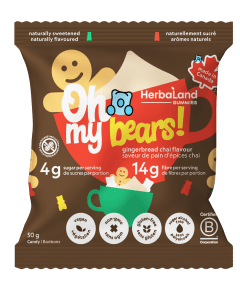 Oh My Bears! Gingerbread Chai - Image 1