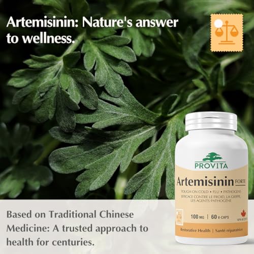 Provita - Artemisinin Forte (60 caps)