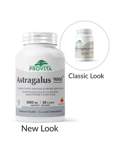 Provita - Astragalus 9000 (60 caps) - Image 1