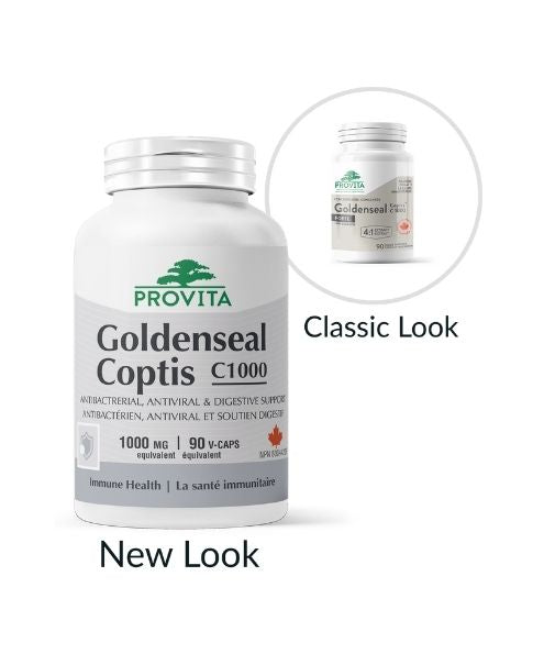 Provita - Goldenseal Coptis C1000 (90 caps) - Image 1