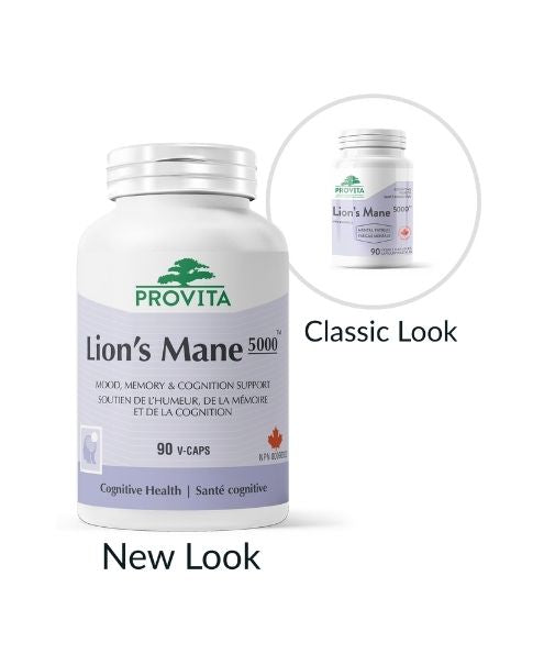 Provita - Lion's Mane 5000 (90 caps) - Image 1
