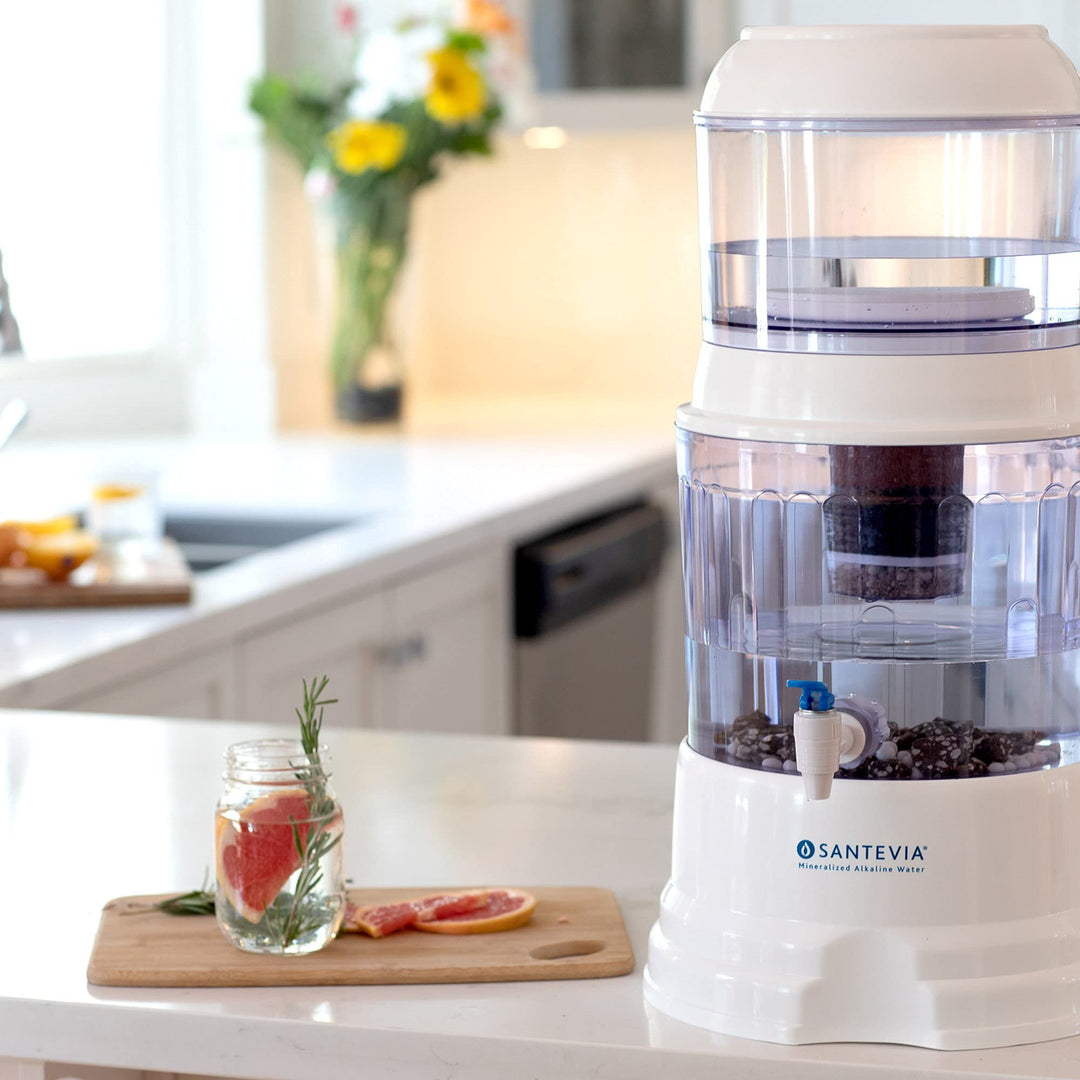 Santevia Systems - Ceramic Pre-filter