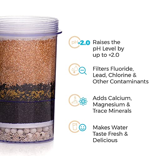 Santevia Systems - Fluoride Filter