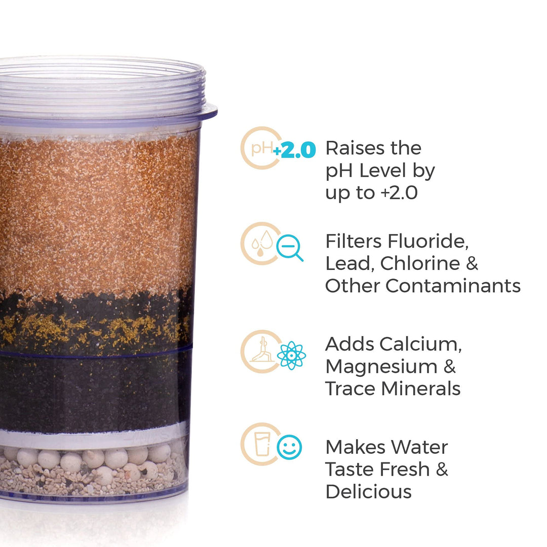 Santevia Systems - Fluoride Filter