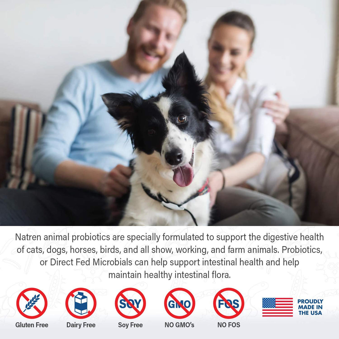 Natren - Caninedophilus For Dogs (20ml)