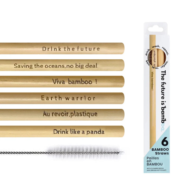 The Future Is Bamboo - Bamboo Straws 6/Pk - Image 2