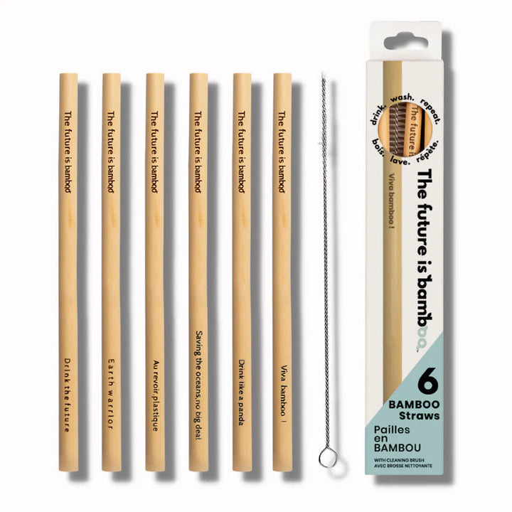 The Future Is Bamboo - Bamboo Straws 6/Pk - Image 1