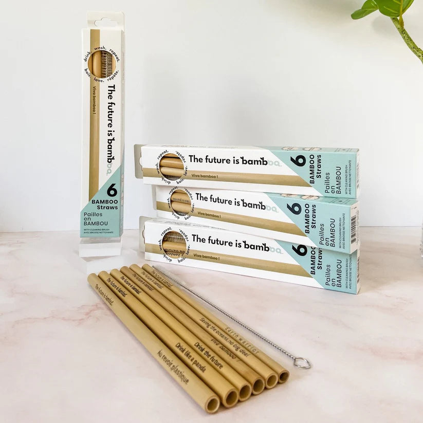 The Future Is Bamboo - Bamboo Straws 6/Pk - Image 3