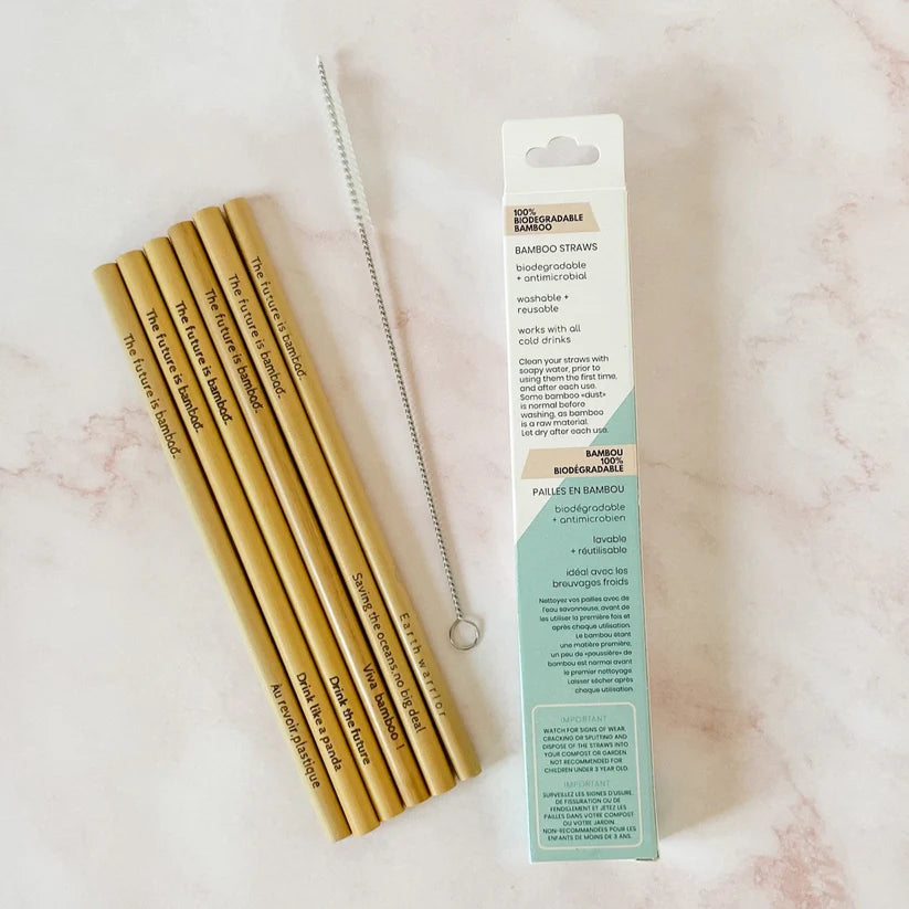 The Future Is Bamboo - Bamboo Straws 6/Pk - Image 4