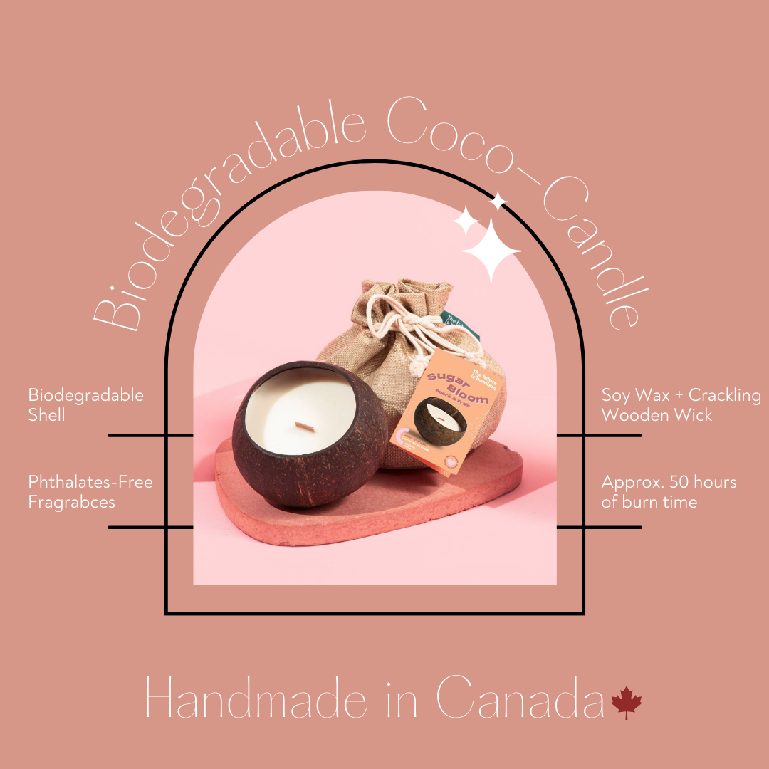 The Future Is Bamboo - Sugar  Bloom Coco Candle - Image 6