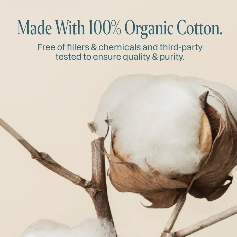  Cliganic - Organic Cotton Swabs, 500ct - Image 2