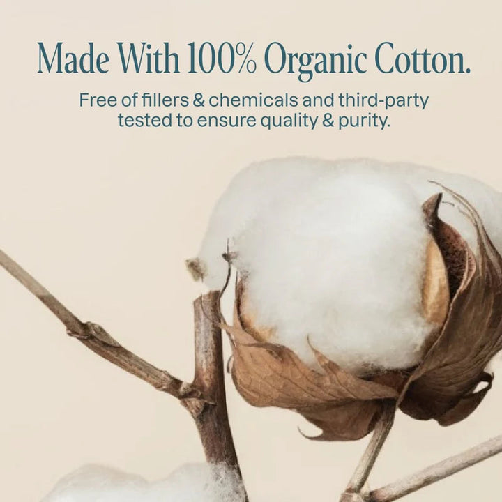  Cliganic - Organic Cotton Swabs, 500ct - Image 2