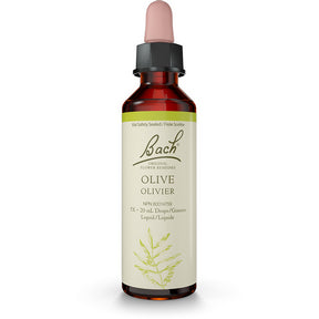 Olive - Image 1