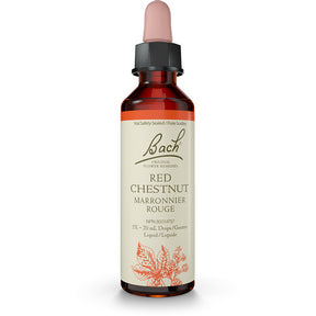 Red Chestnut - Image 1