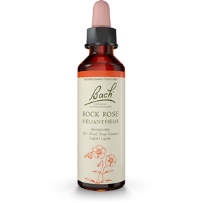 Rock Rose - Image 3