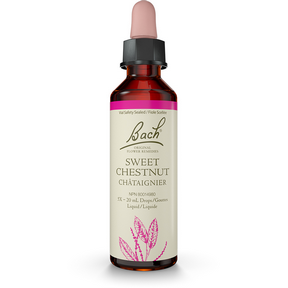 Sweet Chestnut - Image 1