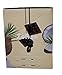 ZoRaw Chocolates - 55%Coconut Milk Chocolate w/Protein
