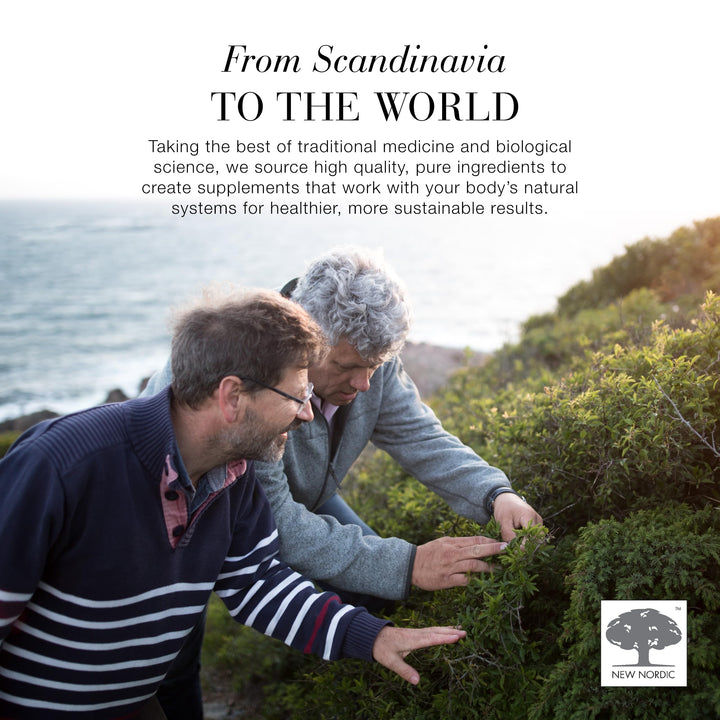 New Nordic - Ashwagandha Gummies (60gmy 6)