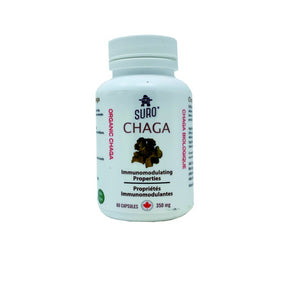 Organic Canadian chaga capsules - Image 2