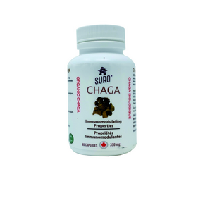 Organic Canadian chaga capsules - Image 3