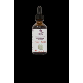 Elderflower Extract - Image 2