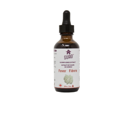 Elderflower Extract - Image 4