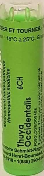 Homeocan - Thuya Occidentalis 6CH (4g 12)