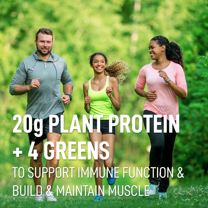 LeanFit - Protein & Greens - Chocolate (579g 6)